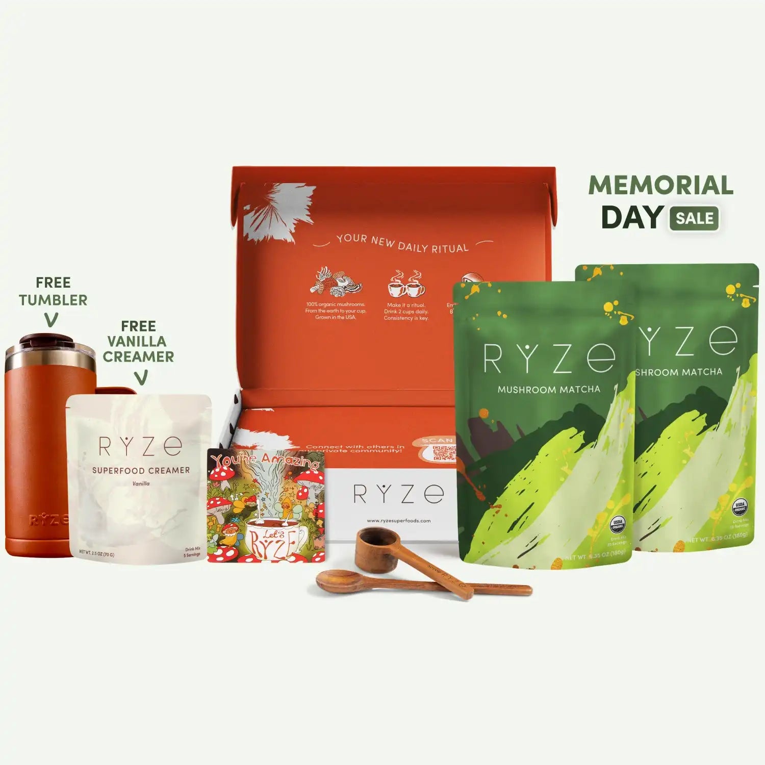 Mushroom Matcha Starter Kit (60 Servings) - Wellness Coffee for Everyday Balance