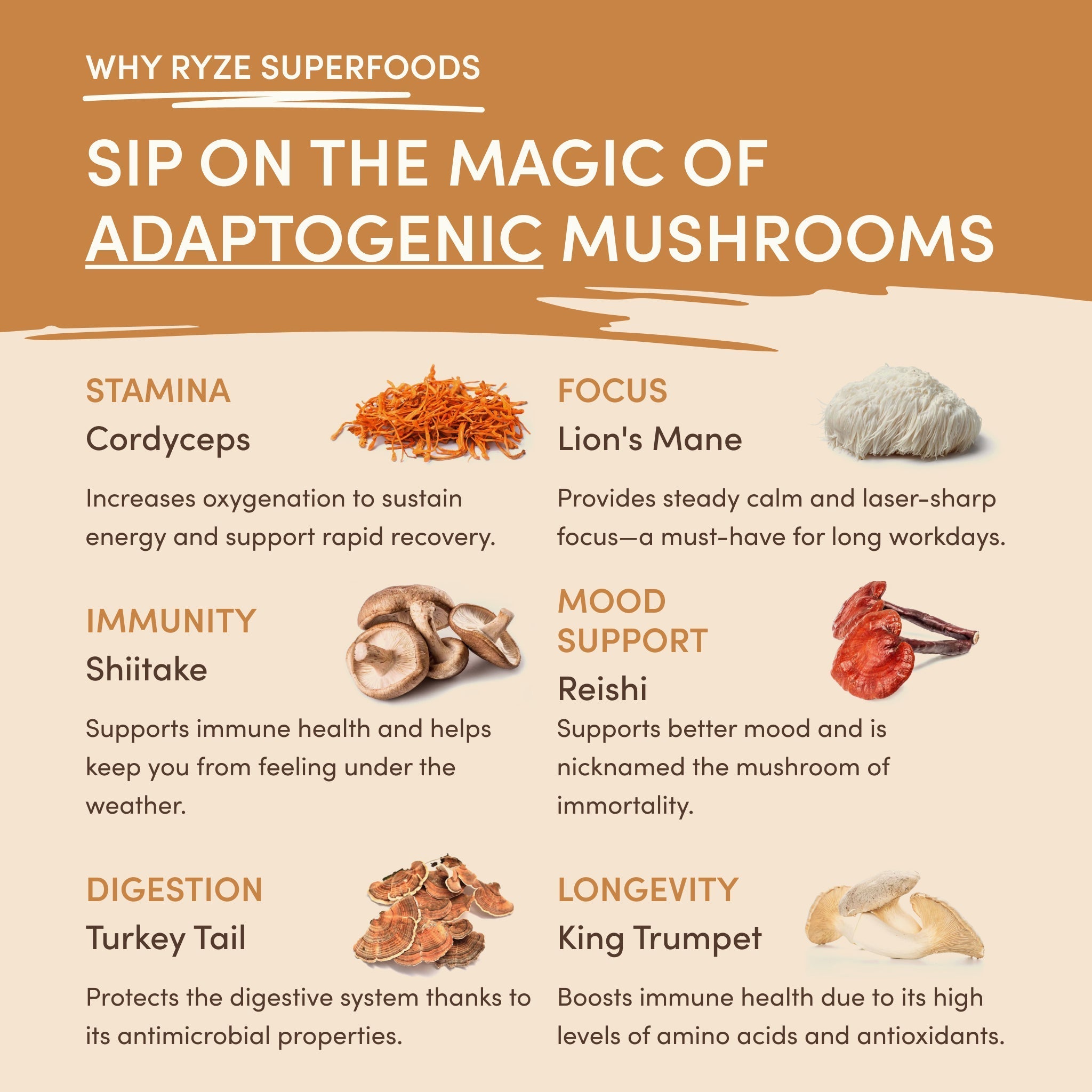 Mushroom Overnight Oats (14 Servings) - Daily Wellness Coffee