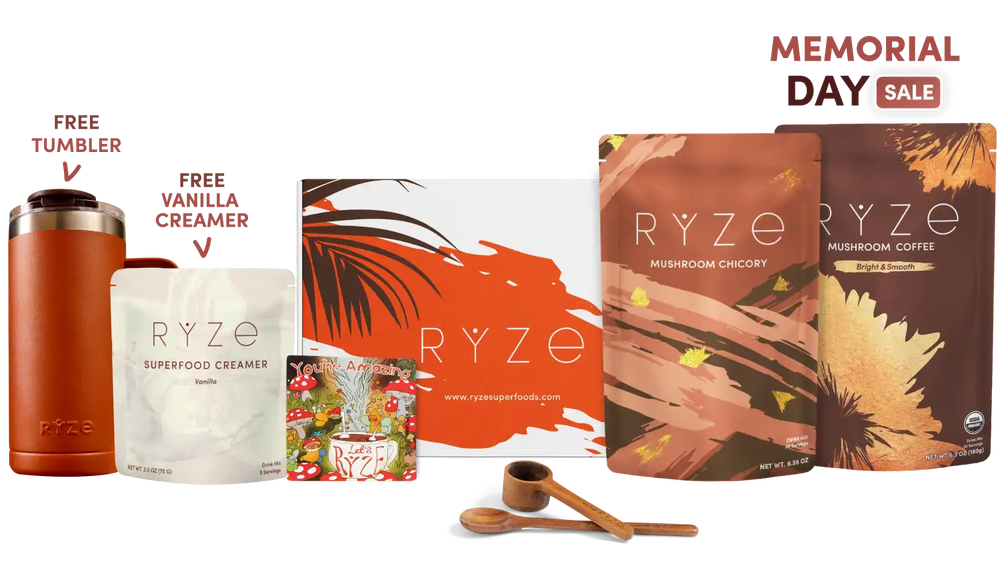 Lasting Energy Bundle (Chicory + Coffee) - Daily Energy Coffee