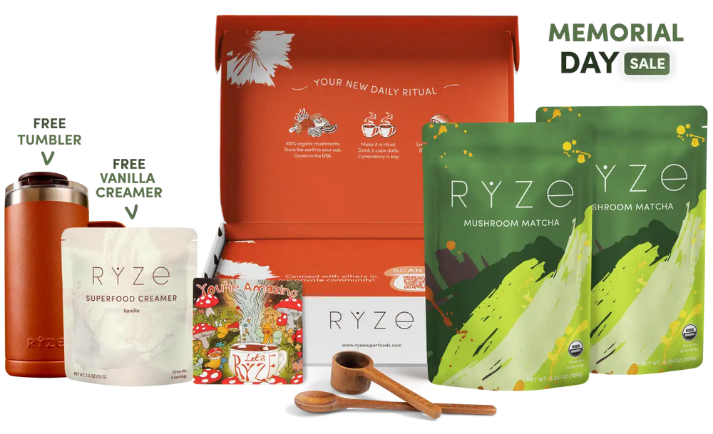 Mushroom Matcha Starter Kit (60 Servings) - Wellness Coffee for Everyday Balance