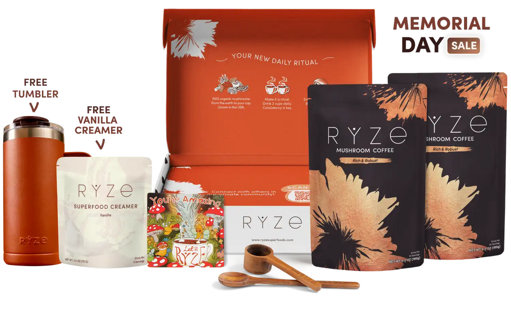 Mushroom Coffee Dark Roast Starter Kit (60 servings) - Balanced Energy Coffee